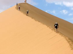 7 ʥߥֺ100kmޥ饽100km of Namib Desert