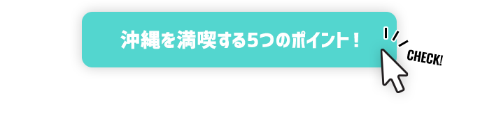 沖縄を満喫する5つのポイント！