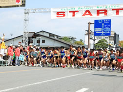 第32回 鹿沼さつきマラソン大会 栃木県 鹿沼市 御殿山公園野球場 メイン会場 スポーツ大会の検索 参加申込みなら スポーツエントリー