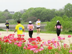 第20回 武庫川ユリカモメウルトラ70kmマラソン