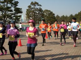 東京はるかぜマラソン 2014アースランクラブ第3戦 第3回 お台場潮風公園マラソン 東京都 品川区 潮風公園 お台場海浜公園 スポーツ大会の検索 参加申込みなら スポーツエントリー