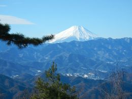 TOKYOȬޥƥȥ쥤2015