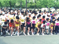 ナゴヤチャリティマラソンフェスティバル 愛知県 名古屋市西区 庄内緑地公園 スポーツ大会の検索 参加申込みなら スポーツエントリー