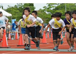 ѵץ졼ޥ饽 in HIKONE 2016