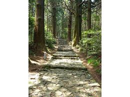 �Υ��祤������736��ϰ�ǯ�����᤯����������仺�ǡ��Ĥ��˾�Φ���²λ�ǯ˺�쥸�祤���2016�ʷ����ƻ����������ԡ�