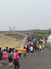 ��26�� �٥����֥�ޥ饽��in�̸�