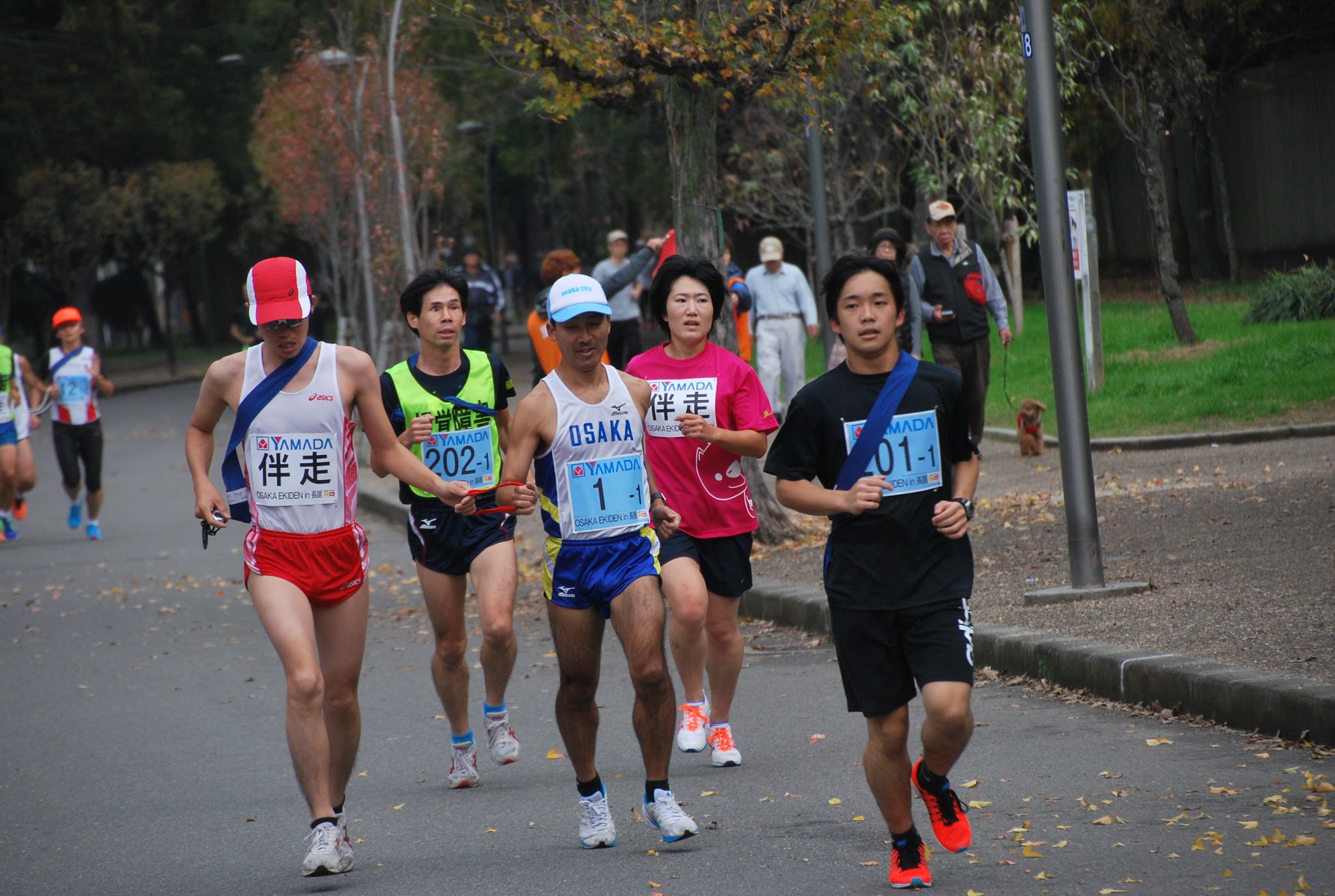 OSAKA EKIDEN in Ĺ  20о㤬Ա