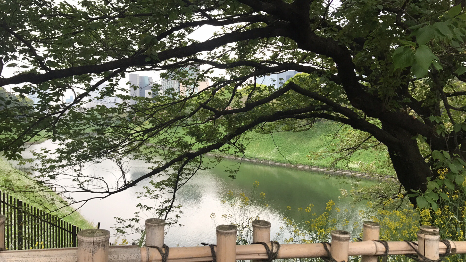 6 ĵޥ饽
