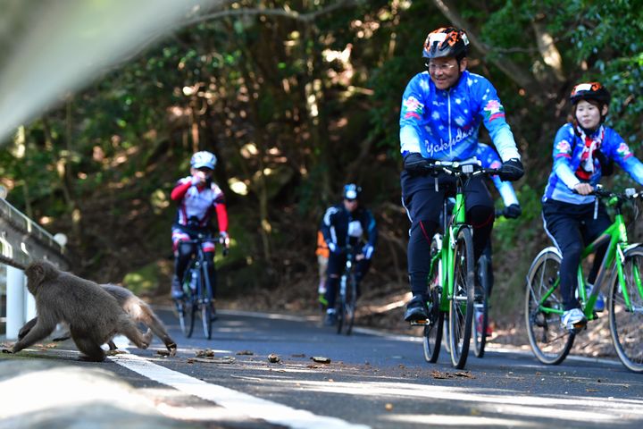 2018 サイクリング屋久島&屋久島ヒルクライム2018
〜太古の森を感じて世界自然遺産の島でエコライド〜
