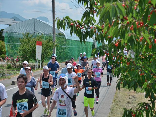 第17回 果樹王国ひがしねさくらんぼマラソン大会
