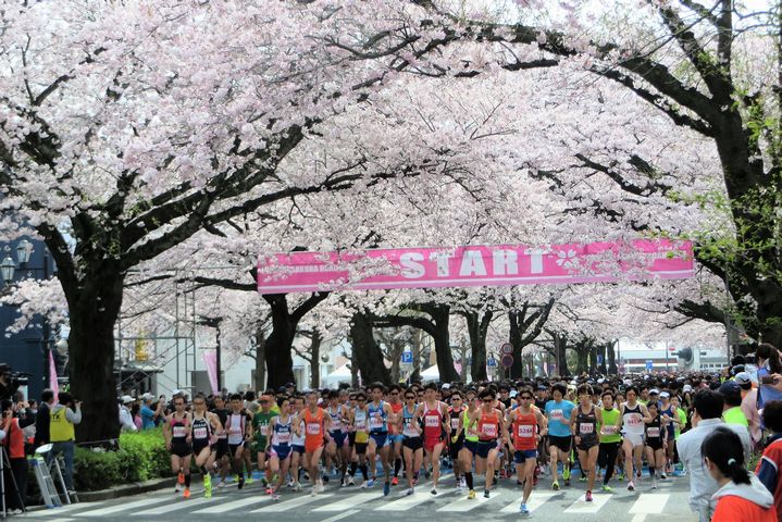 第18回 日立さくらロードレース