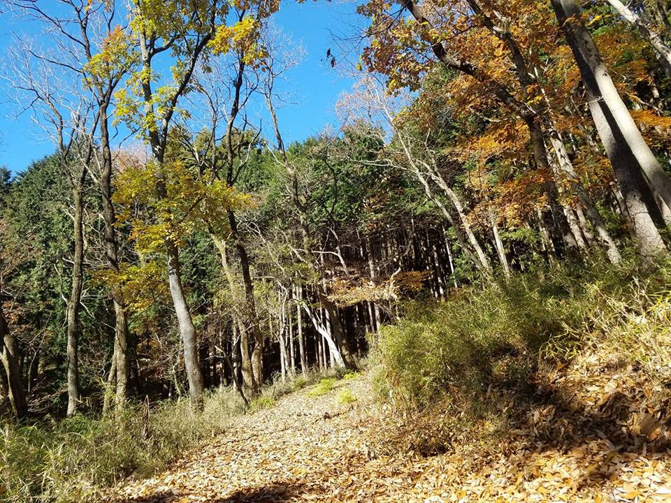 HADANO MTB Challenge2018