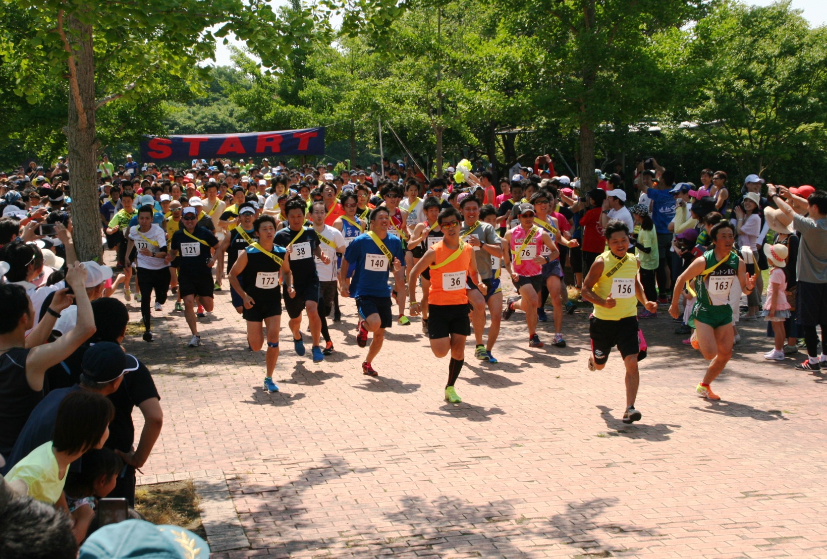 42.195km졼ޥ饽 6 ޤä¼