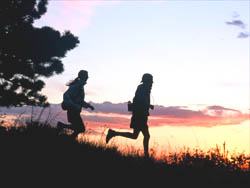 󥸥㡼졼2006
Japan CupTokyo Trail Run 100