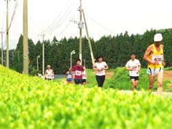 第18回 えい新茶・大野岳マラソン大会
