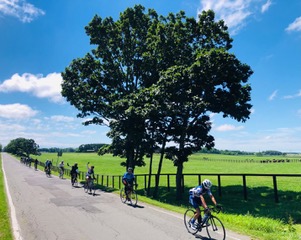 TOUR OF KAMUI 2025 ʿ