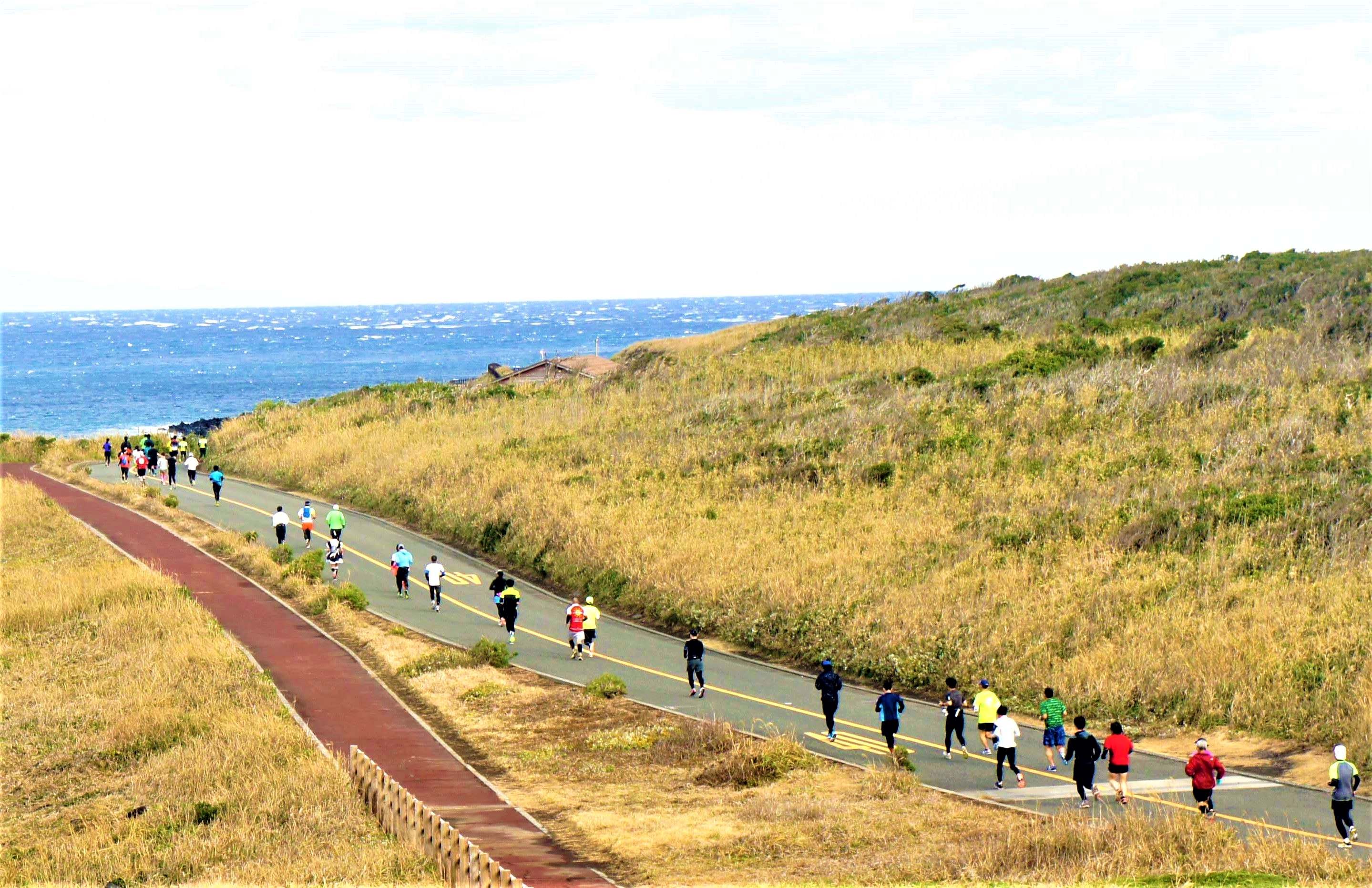 第15回 伊豆大島マラソン(東京都 大島町 元町港船客待合所（大島町元町