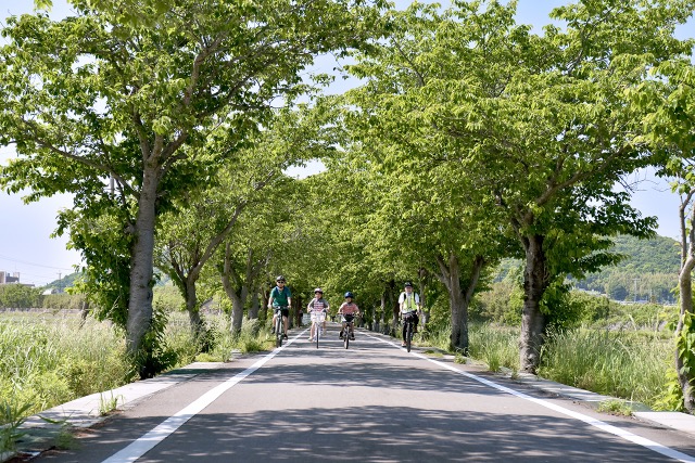 PEDAL DAY GO Mt. TSUKUBA
Ĥв⥱ɼžθĥ