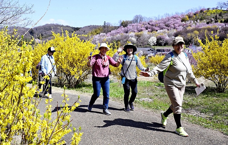 第28回 ふくしま吾妻荒川・花見山ツーデーマーチ(福島県 福島市