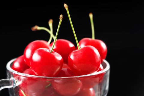 第23回 果樹王国ひがしねさくらんぼマラソン大会(山形県 東根市 陸上