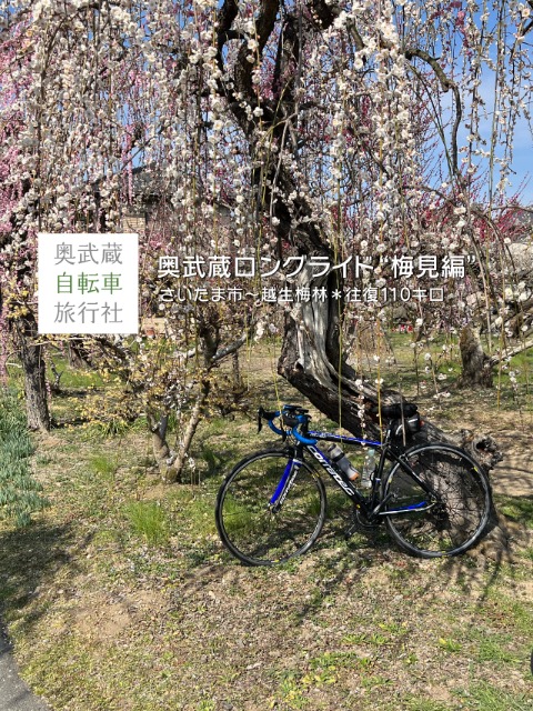 奥武蔵ロングライド“梅見編”