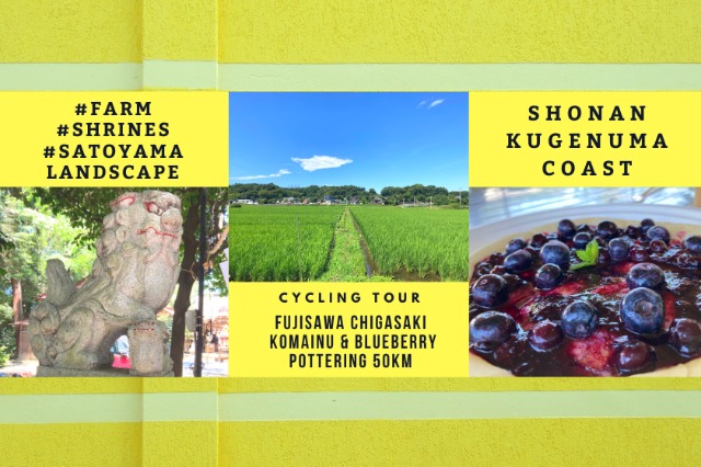 湘南藤沢茅ヶ崎田園ポタリング50km 腰掛狛犬と藍苺の里