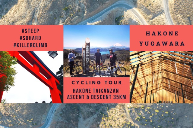 箱根大観山椿ラインヒルクライムとダウンヒル 35km