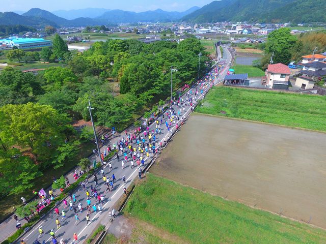 第31回 丹波市三ッ塚マラソン大会