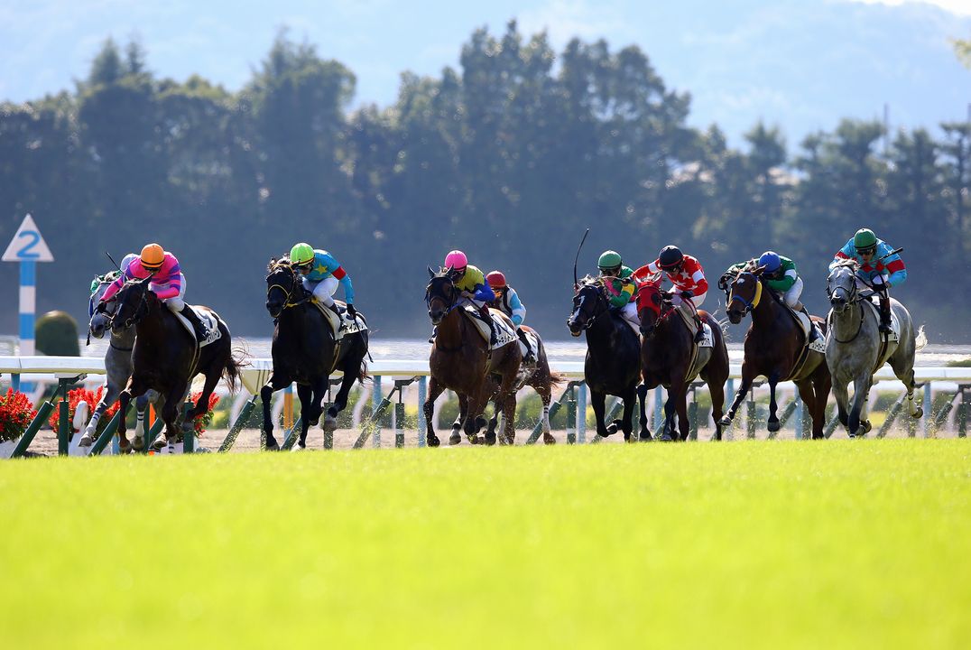 KYOTORUN 2019ԶϾХå䡼ɤ롪