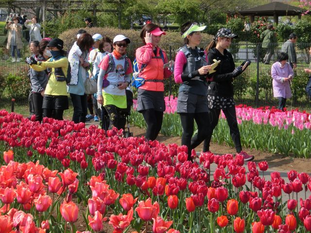 �դο��� �֤Ȳ����������������ڤ���ޥ�˥å�21km��4��20�����ڡ˳��š�