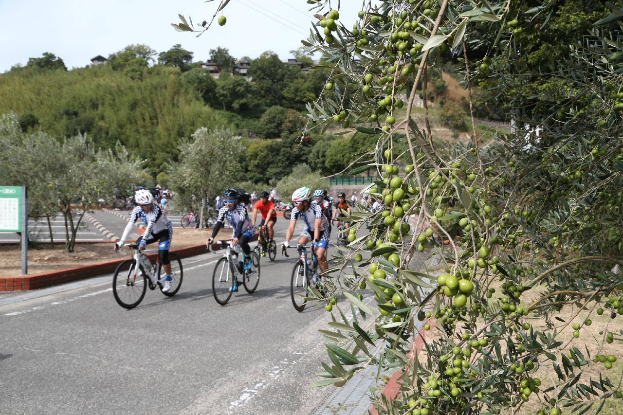 第29回 さぬきセンチュリーライド・小豆島大会2019（豆一）(香川県 小豆郡小豆島町室生 小豆島ふるさと村