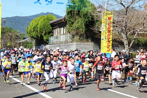 第33回 綾・照葉樹林マラソン