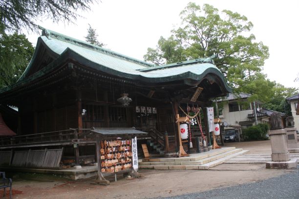 饤ɡҥ륯饤 in 來2019