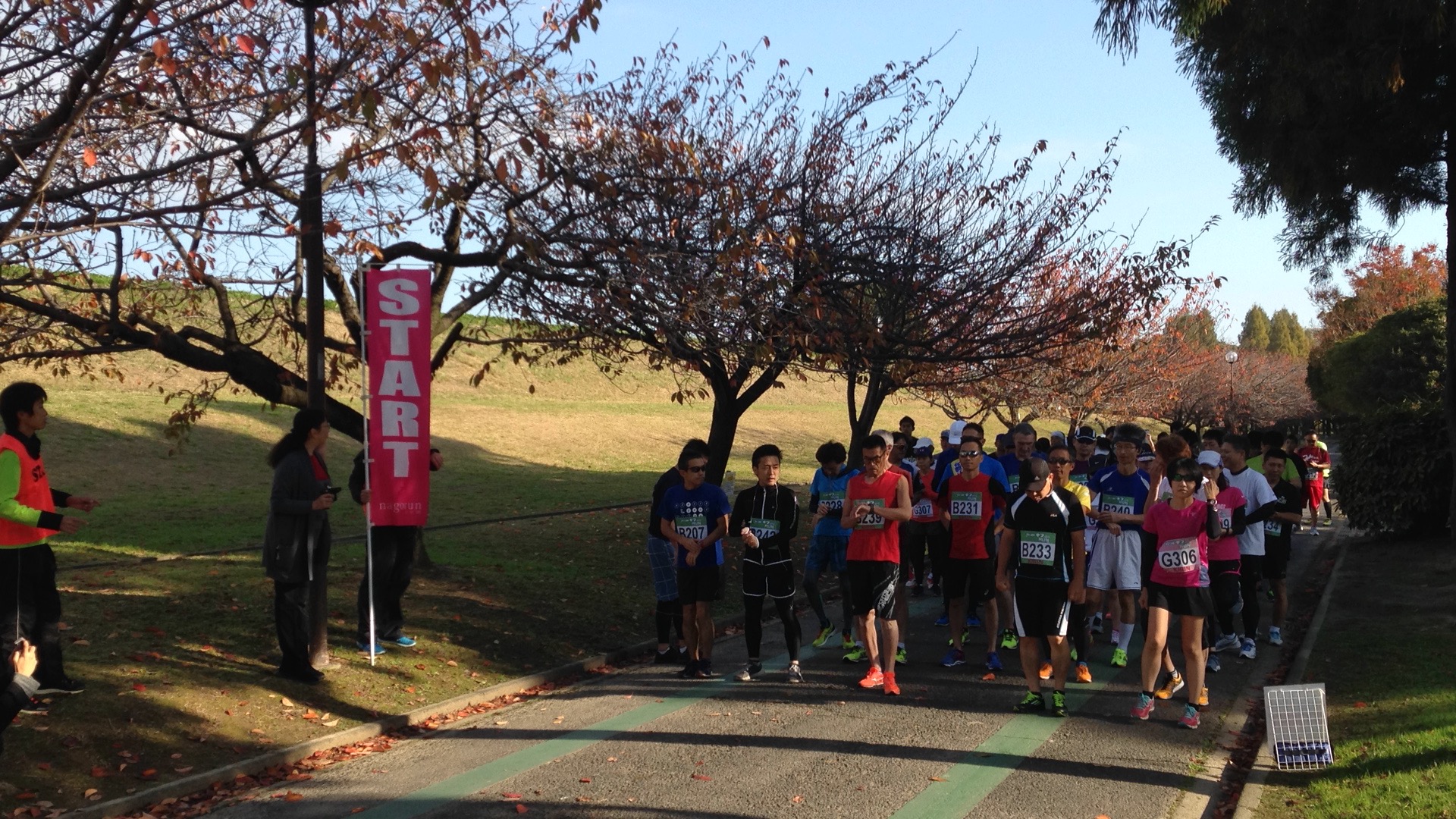 �ե������ȥ��ե�졼�ޥ饽��2019