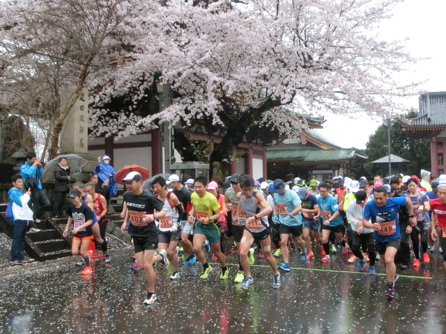 第43回 池上本門寺花祭り家族健康マラソン大会
