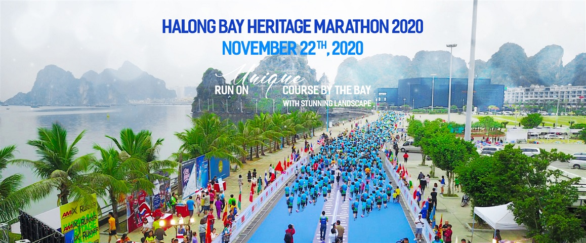 ��6�� �ϥ����ѡ��إ�ƥå����ޥ饽��