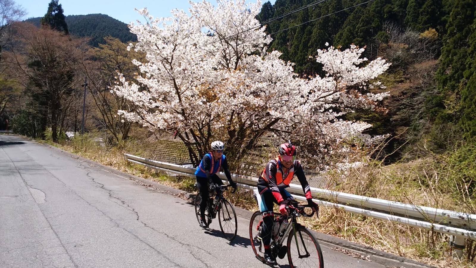 新潟県のイベント スポエンcycle