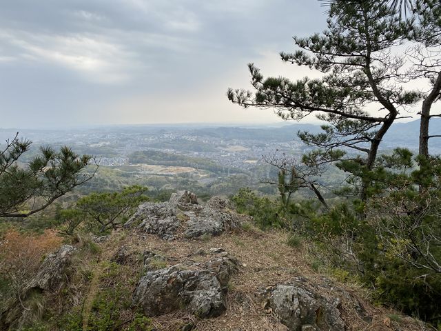 2 ϻեȥ˥2021