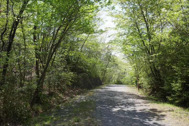 関西 親子 ファミリー のイベント一覧 スポーツエントリー