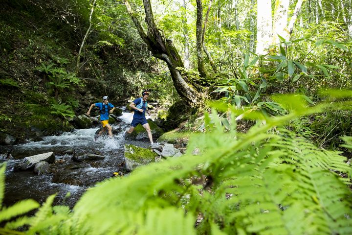 長野県 マラソン ランニングのイベント一覧 スポーツエントリー