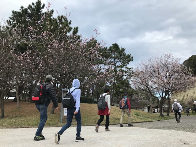 第33回 よこはまシティウォーク&スポーツフェスタ in 三ツ沢公園陸上競技場