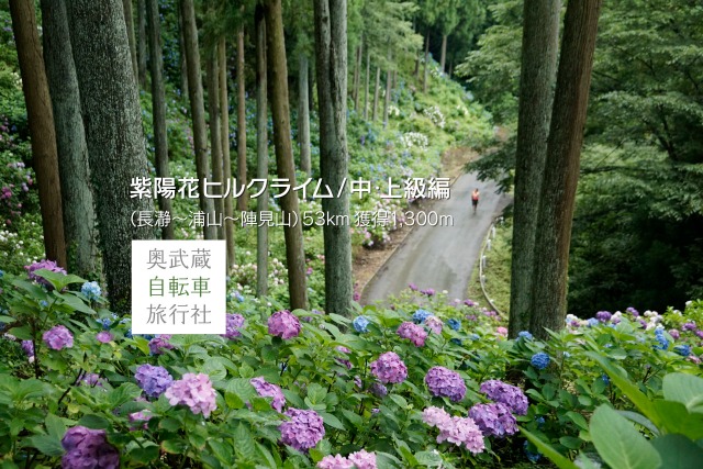 ۲֥ҥ륯饤ࡿ桦
