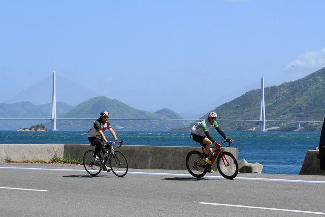 サイクリングしまなみ2024プレミアムエントリー限定のサイクル