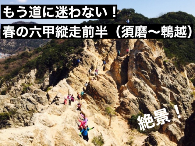 ڿ͵ۤϤƤϻýȥ쥤ʿᥢץ